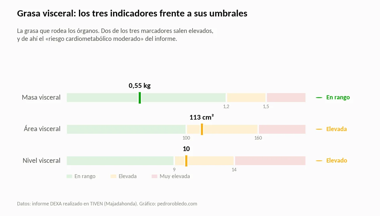 Gráfico de los tres indicadores de grasa visceral frente a sus umbrales: masa visceral 0,55 kg en rango, área visceral 113 cm² elevada y nivel visceral 10 elevado
