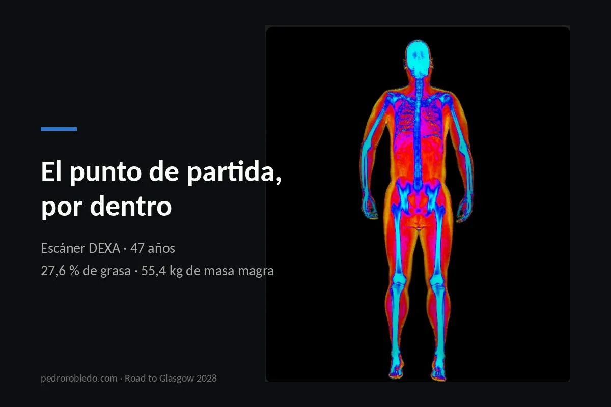 Escáner DEXA de cuerpo completo en color, con el título del artículo: el punto de partida, por dentro